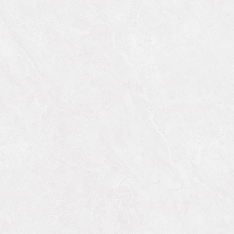 WDL89J002