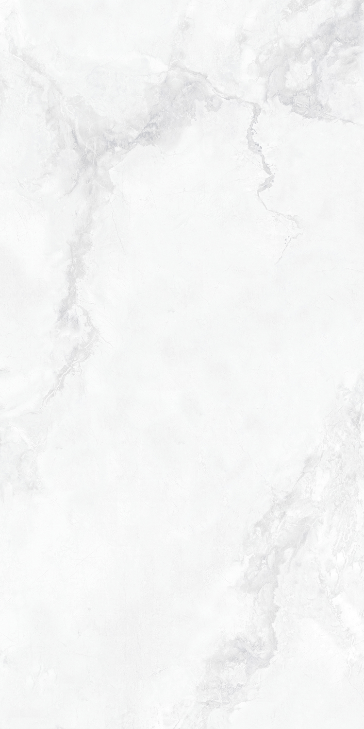 WD765J010